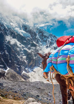 SALKANTAY + CAMINO INCA A MACHUPICCHU