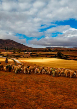 CUSCO COLORIDO 5D – 4N